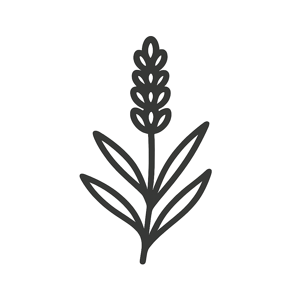 Lavendel-Samen