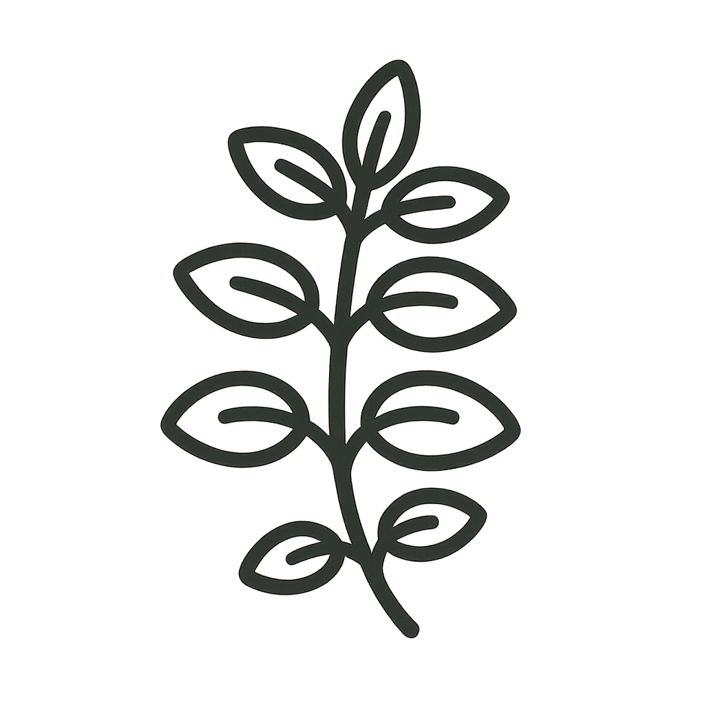 Oregano-Samen