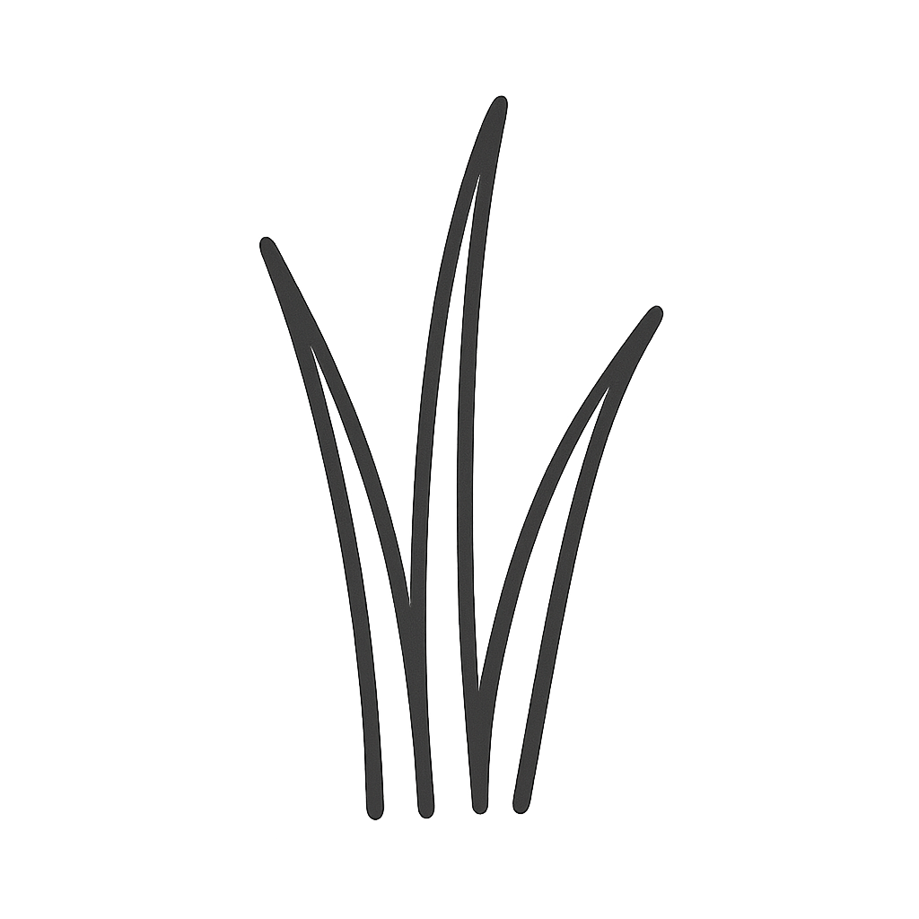Schnittlauch-Samen