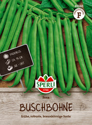 Buschbohne Saxa