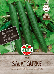Salatgurke Bella, F1
