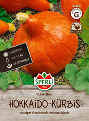 Hokkaido-Kürbis Uchiki Kuri