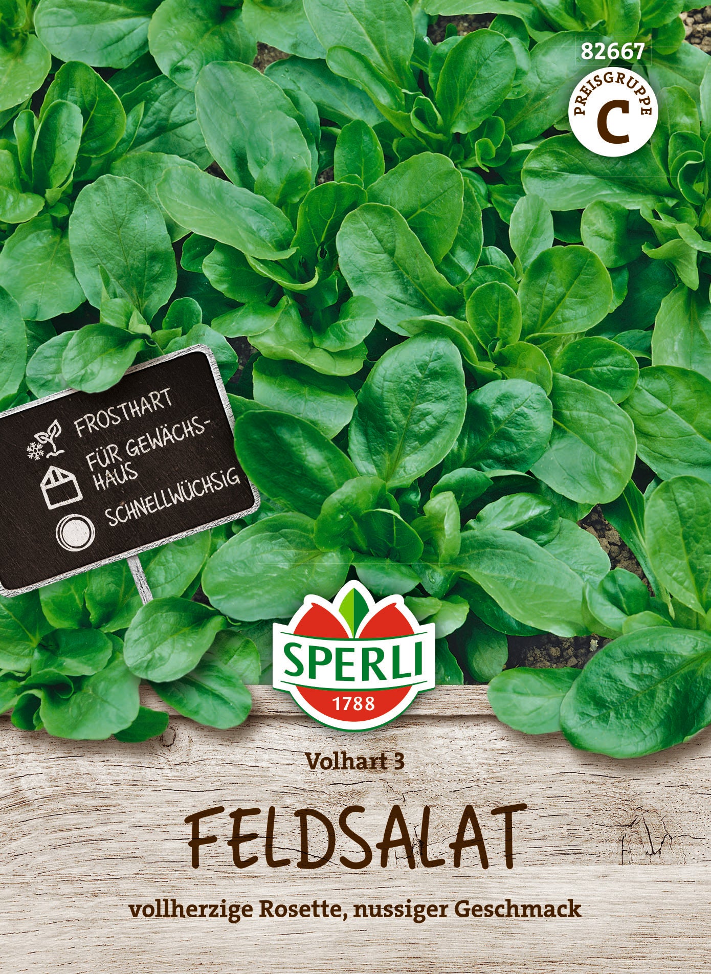 Feldsalat Volhart 3