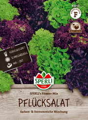 Salat Salatmischung