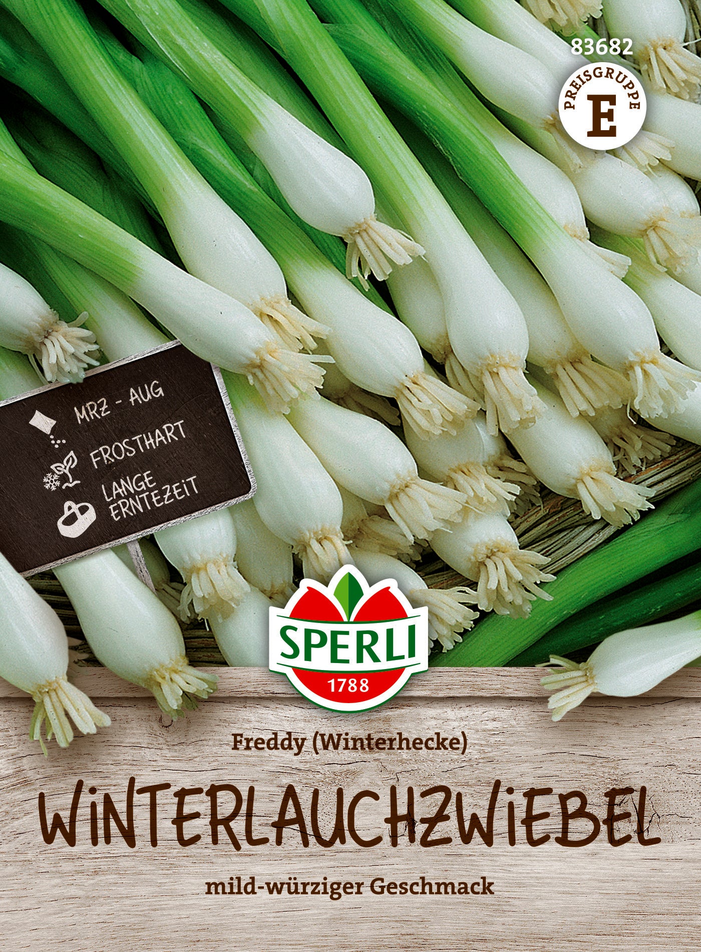 Winterlauchzwiebel Freddy (Winterheckenzwiebel)