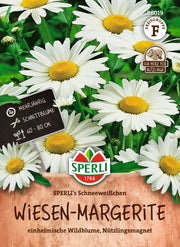 Wiesen-Margerite SPERLI's Schneeweißchen
