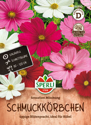 Schmuckkörbchen Sensation Mischung