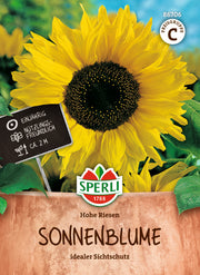 Sonnenblume Hohe Riesen