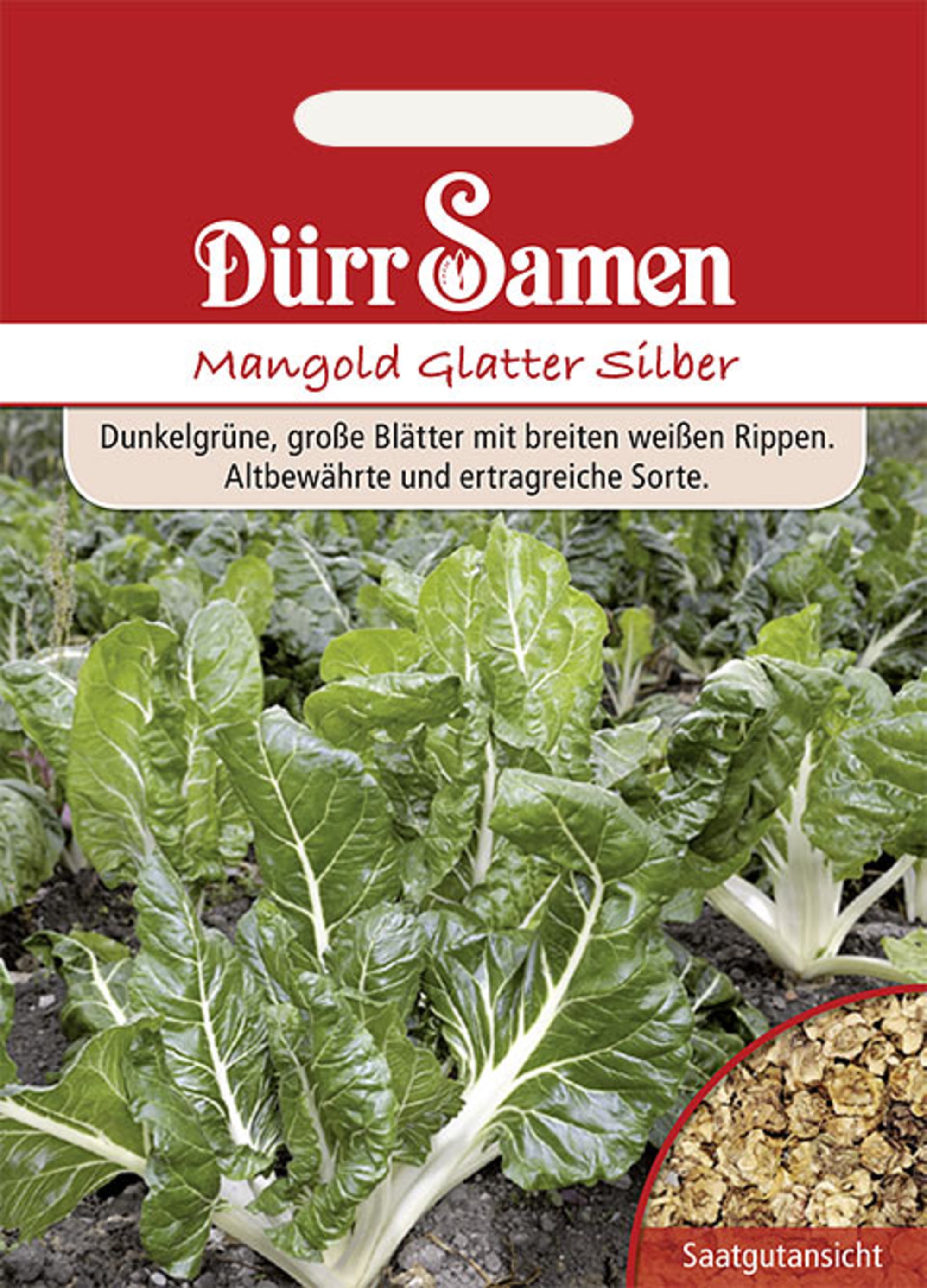 Mangold Glatter Silber