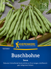 Buschbohne Saxa