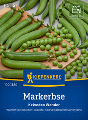 Markerbse Kelvedon Wonder