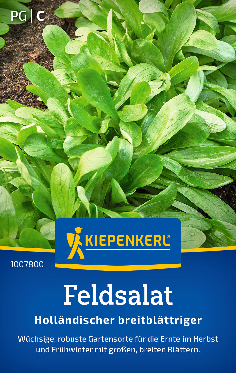 Feldsalat Holländischer breitblättriger