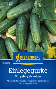 Einlegegurke Vorgebirgstrauben