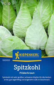 Weißkohlsamen Filderkraut