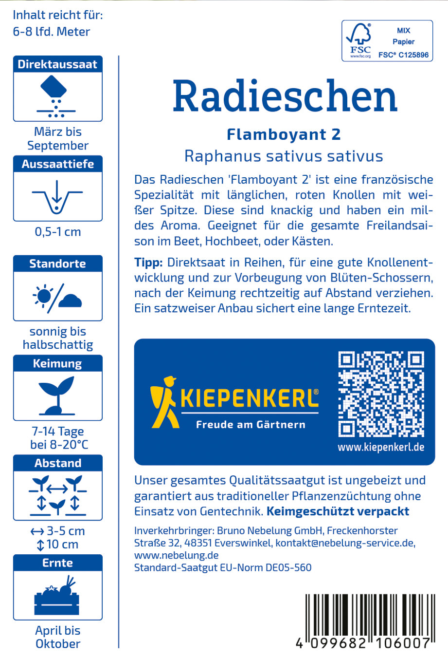 Radieschen Flamboyant 2