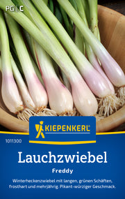 Lauchzwiebel Freddy