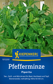 Pfefferminze Piperita