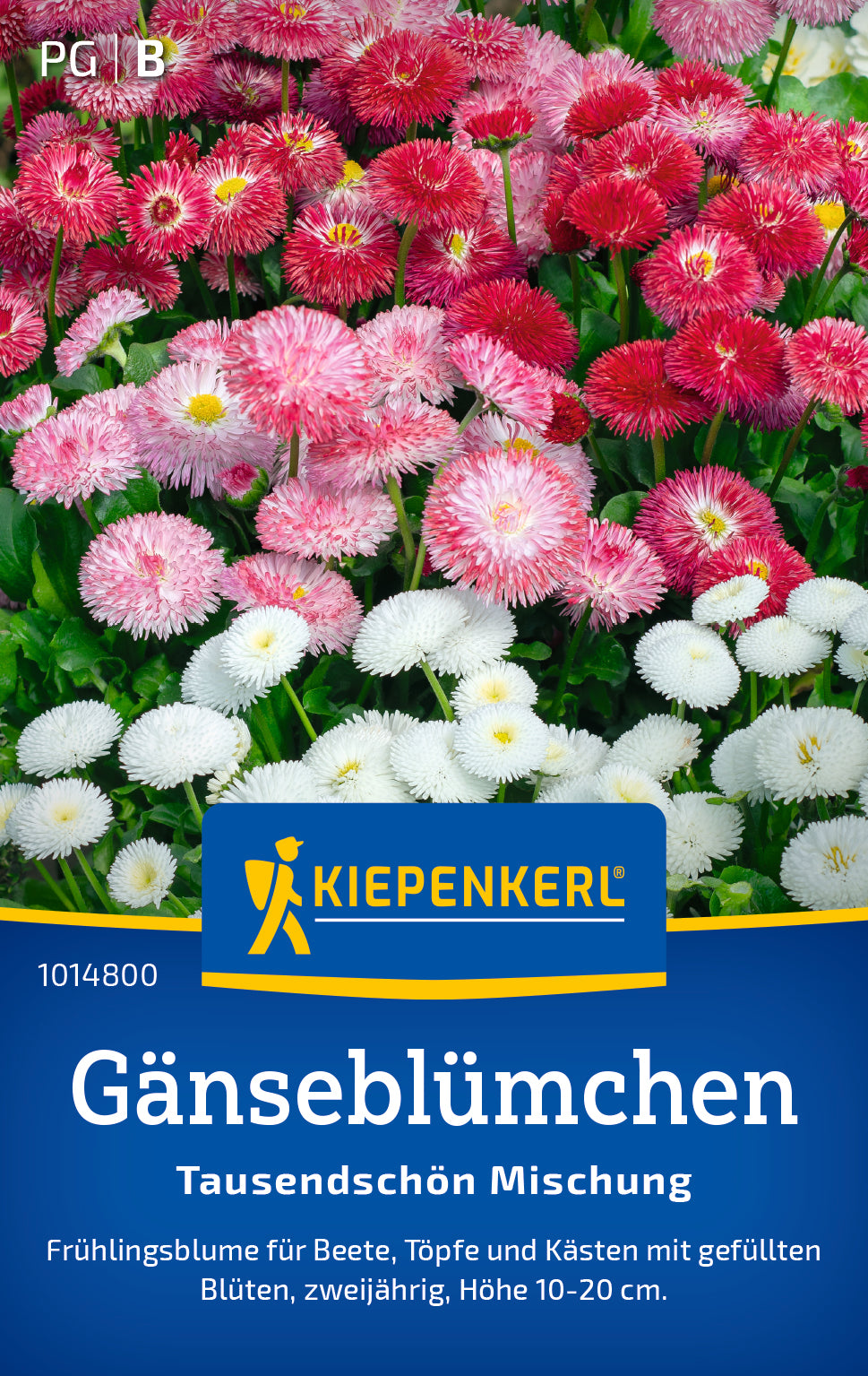 Gänseblümchensamen Tausendschön Mischung