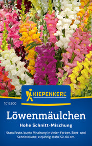 Löwenmäulchensamen Hohe Schnitt-Mischung