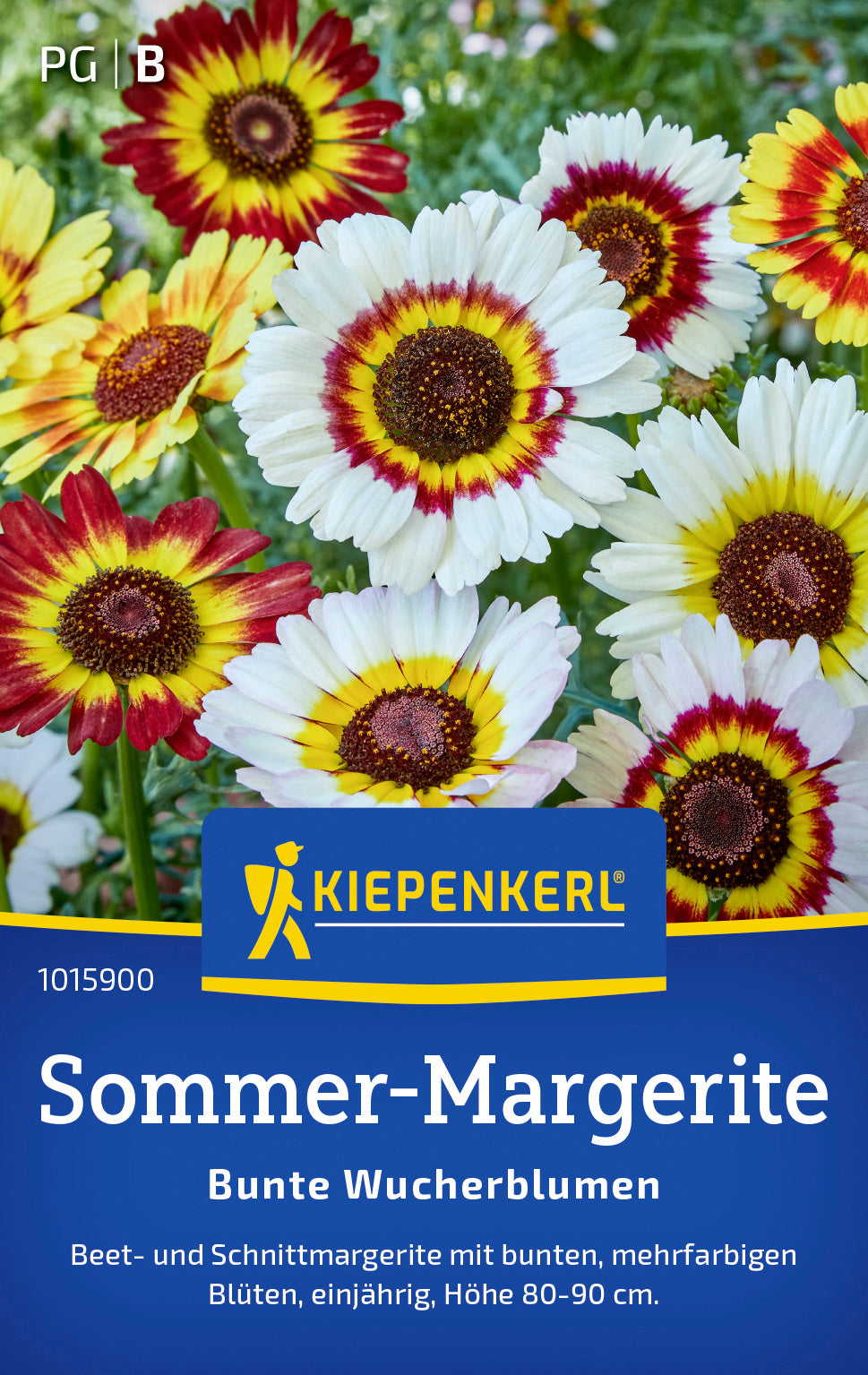 Sommer-Margeritensamen Bunte Wucherblumen