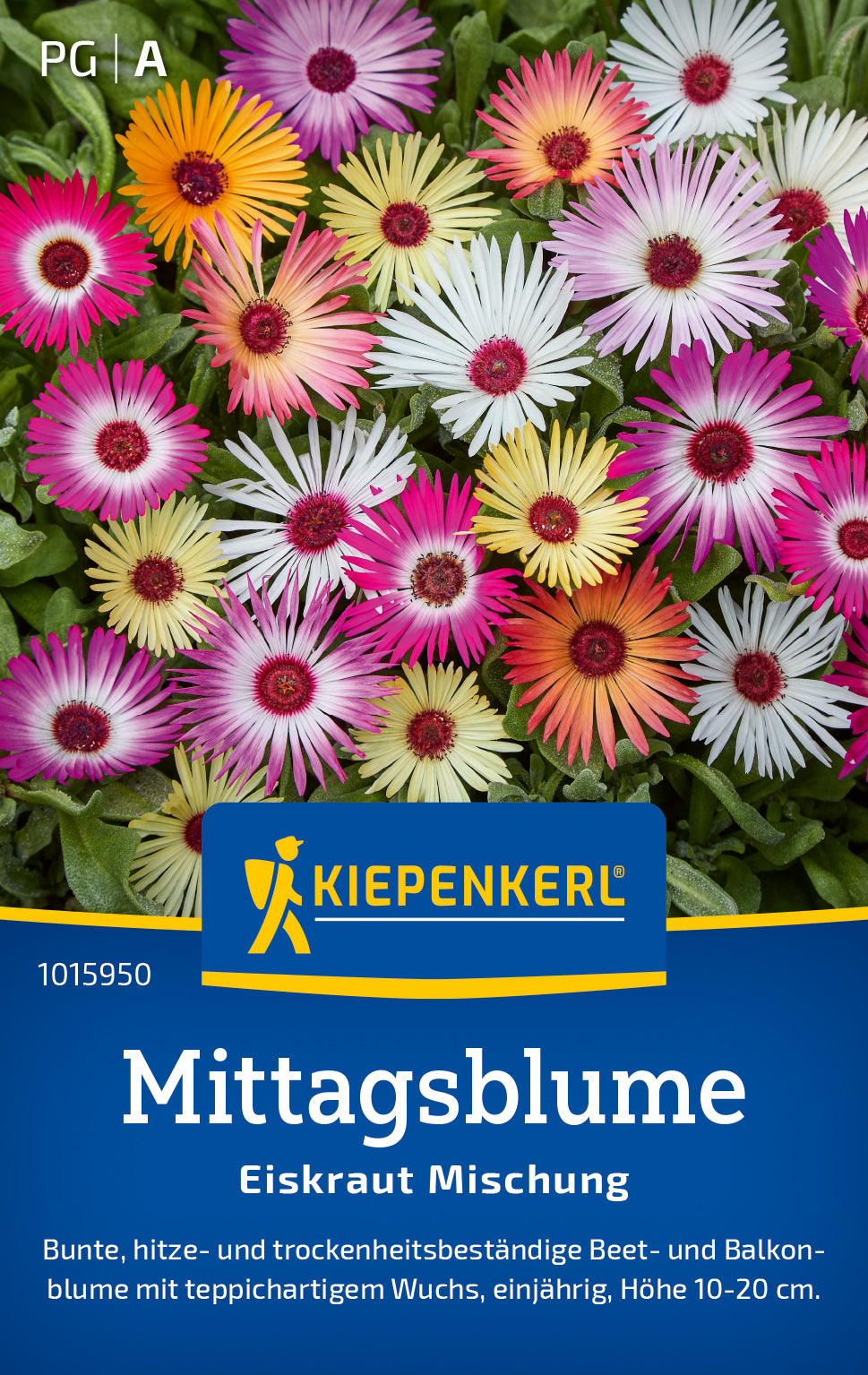Mittagsblume Eiskraut Mischung