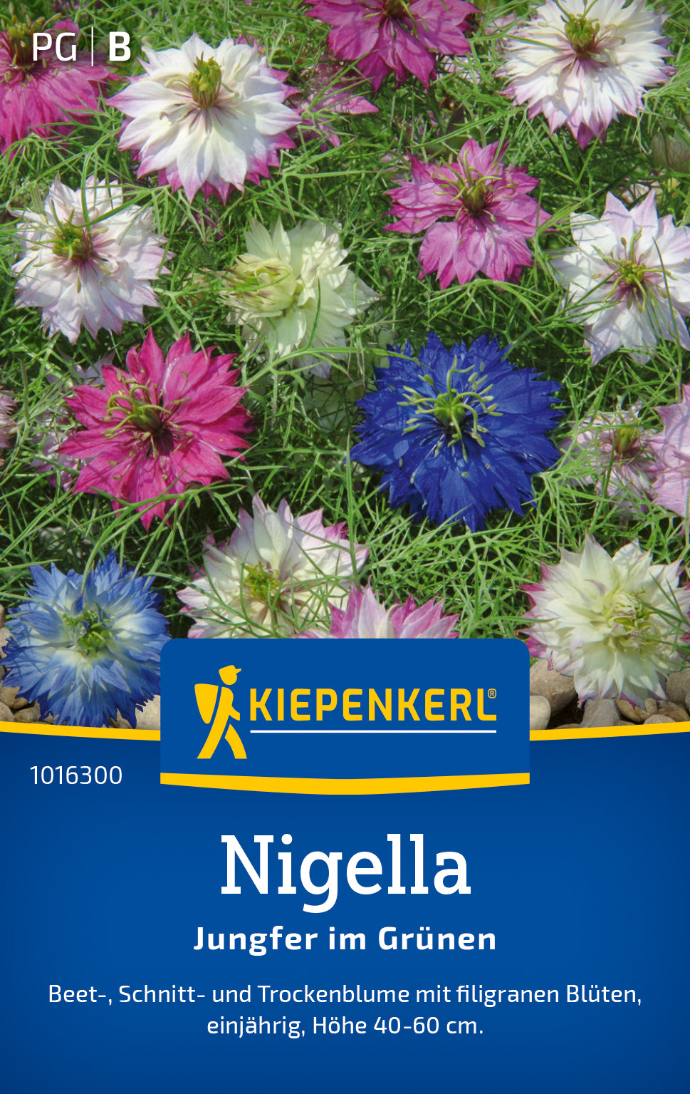 Nigellasamen Jungfer im Grünen