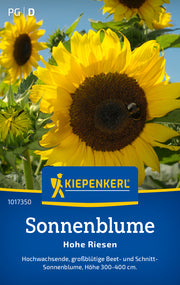 Sonnenblume Hohe Riesen
