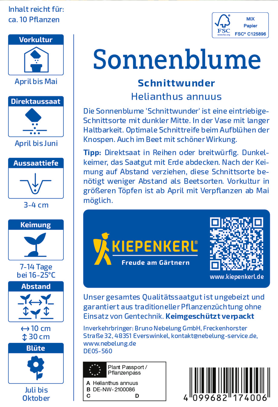 Sonnenblume Schnittwunder