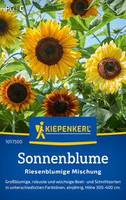 Sonnenblume Riesenblumige Mischung