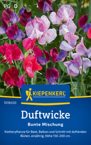 Duftwicke Bunte Mischung