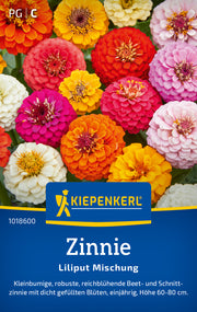 Zinnie Liliput Mischung
