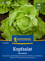 Kopfsalat Dynamite