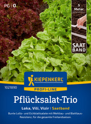 Pflücksalat-Trio Loka, Vili, Vizir, Saatband