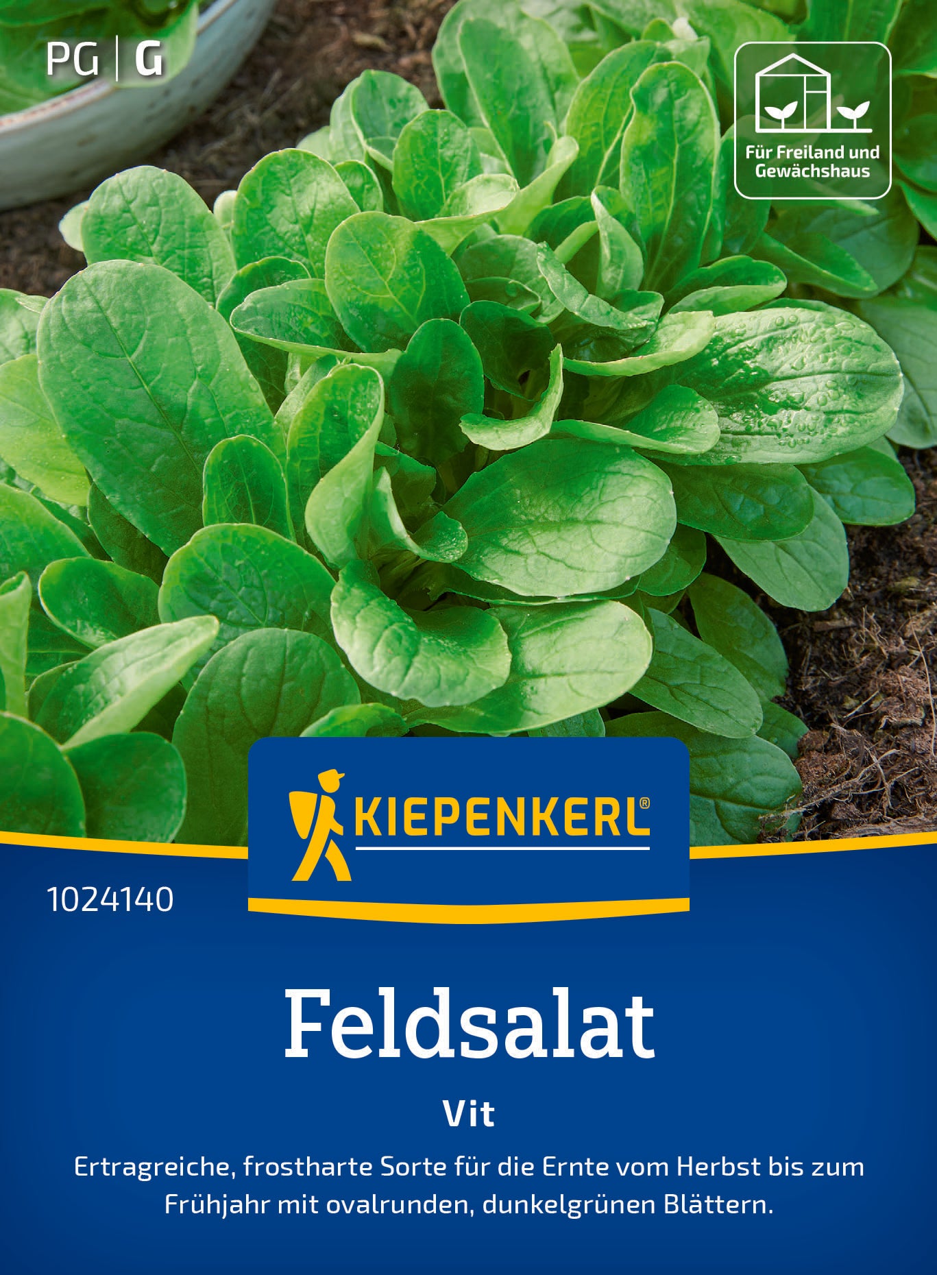 Feldsalat Vit