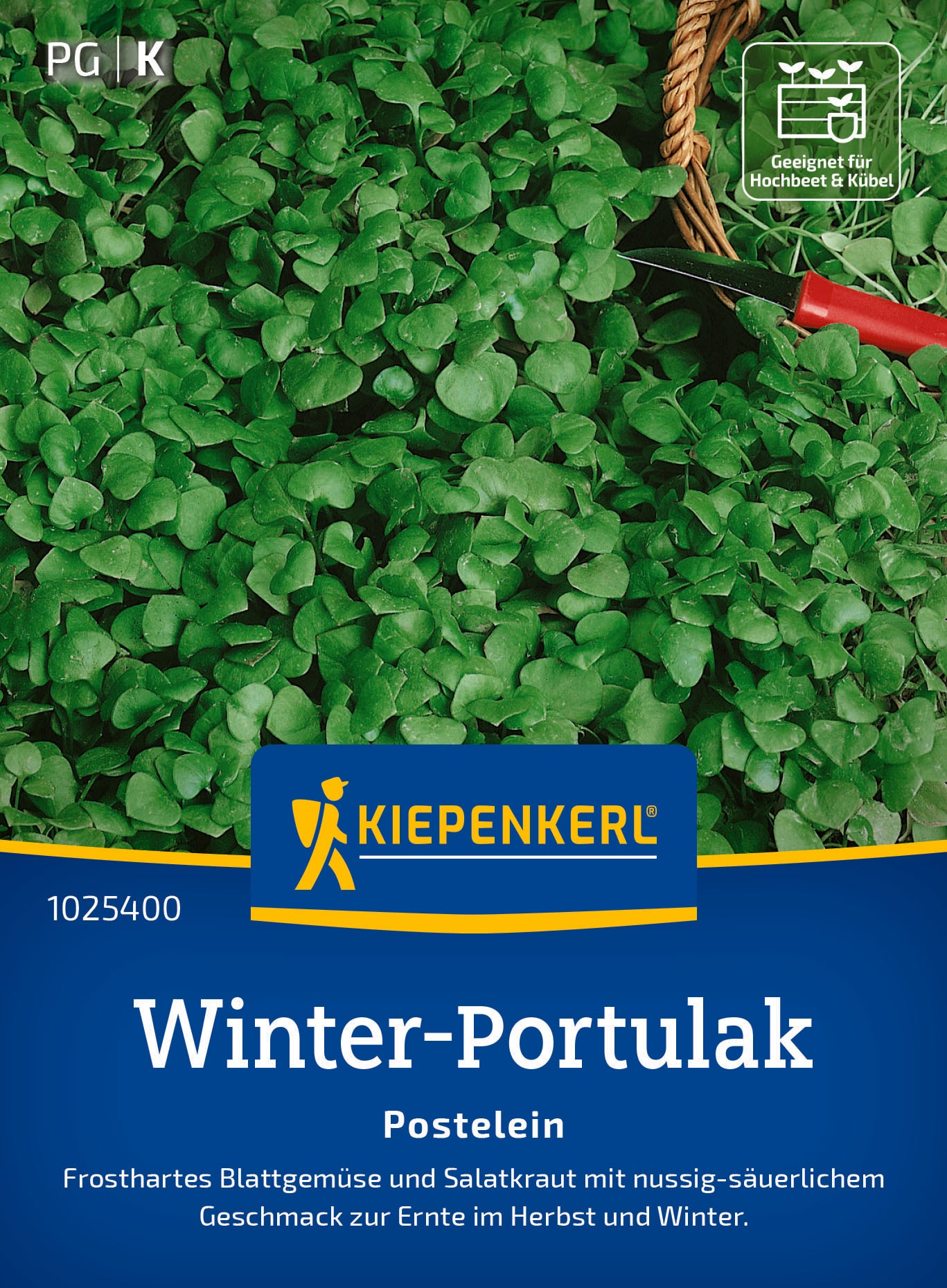 Portulak Winterportulak