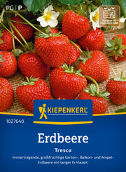 Erdbeere Tresca