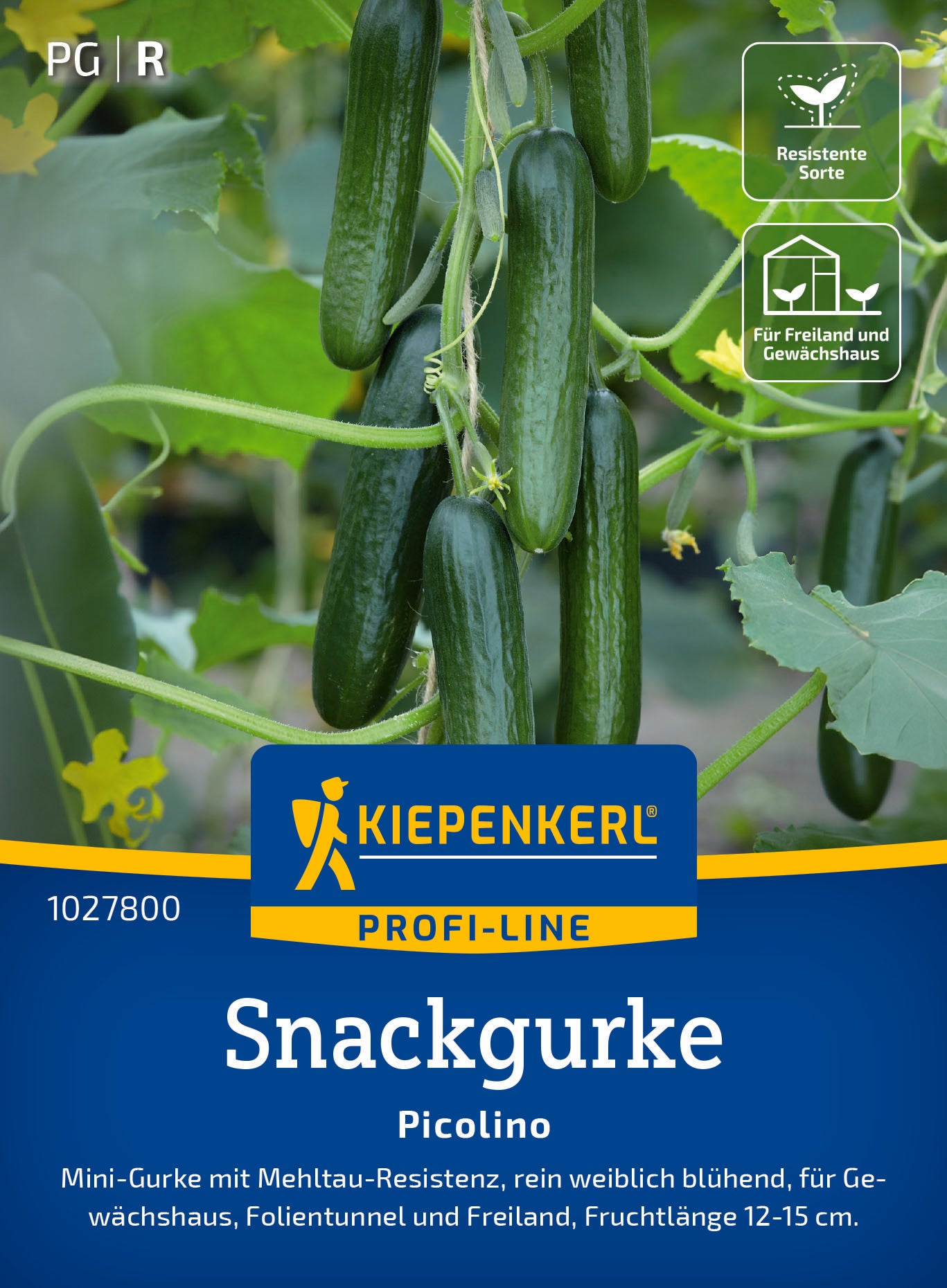 Snackgurke Picolino, F1