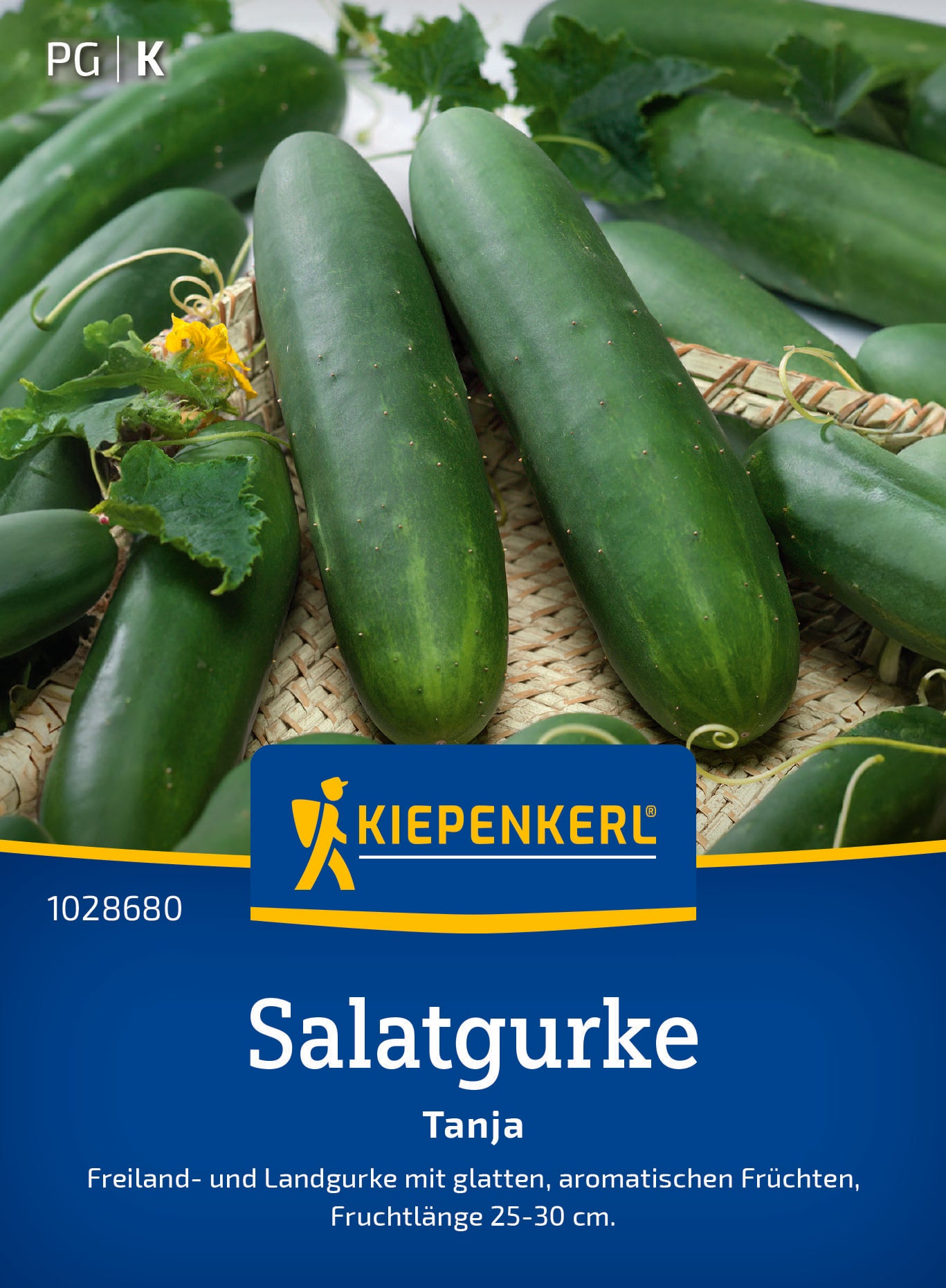Salatgurke Tanja