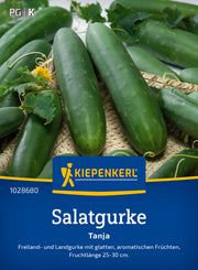 Salatgurke Tanja