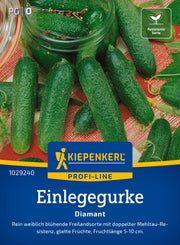 Einlegegurke Diamant, F1