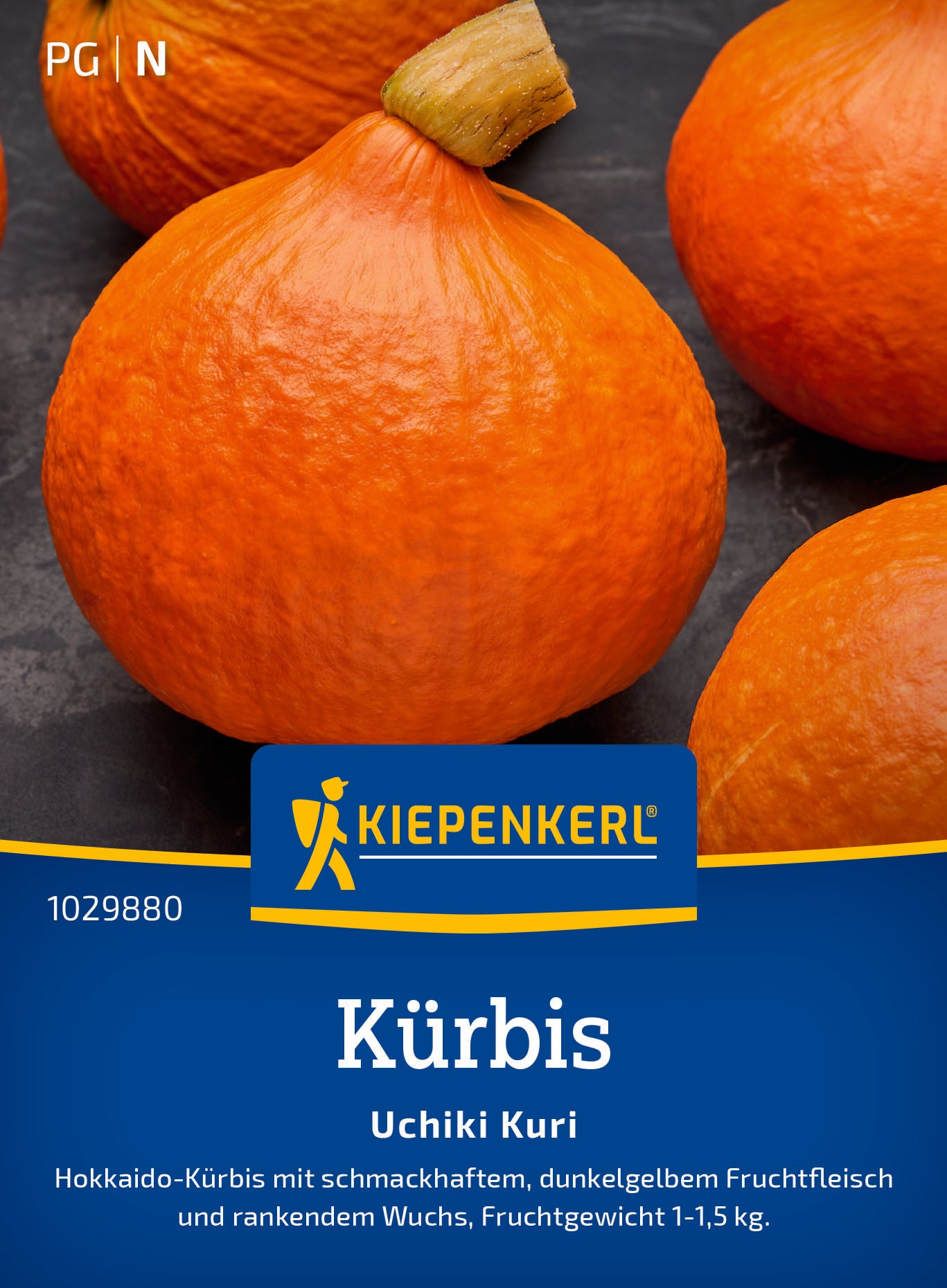 Kürbis Uchiki Kuri