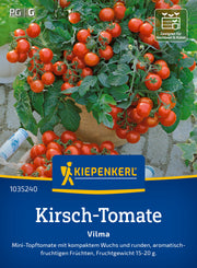 Kirsch-Tomate Vilma