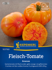 Fleisch-Tomatensamen Ananas
