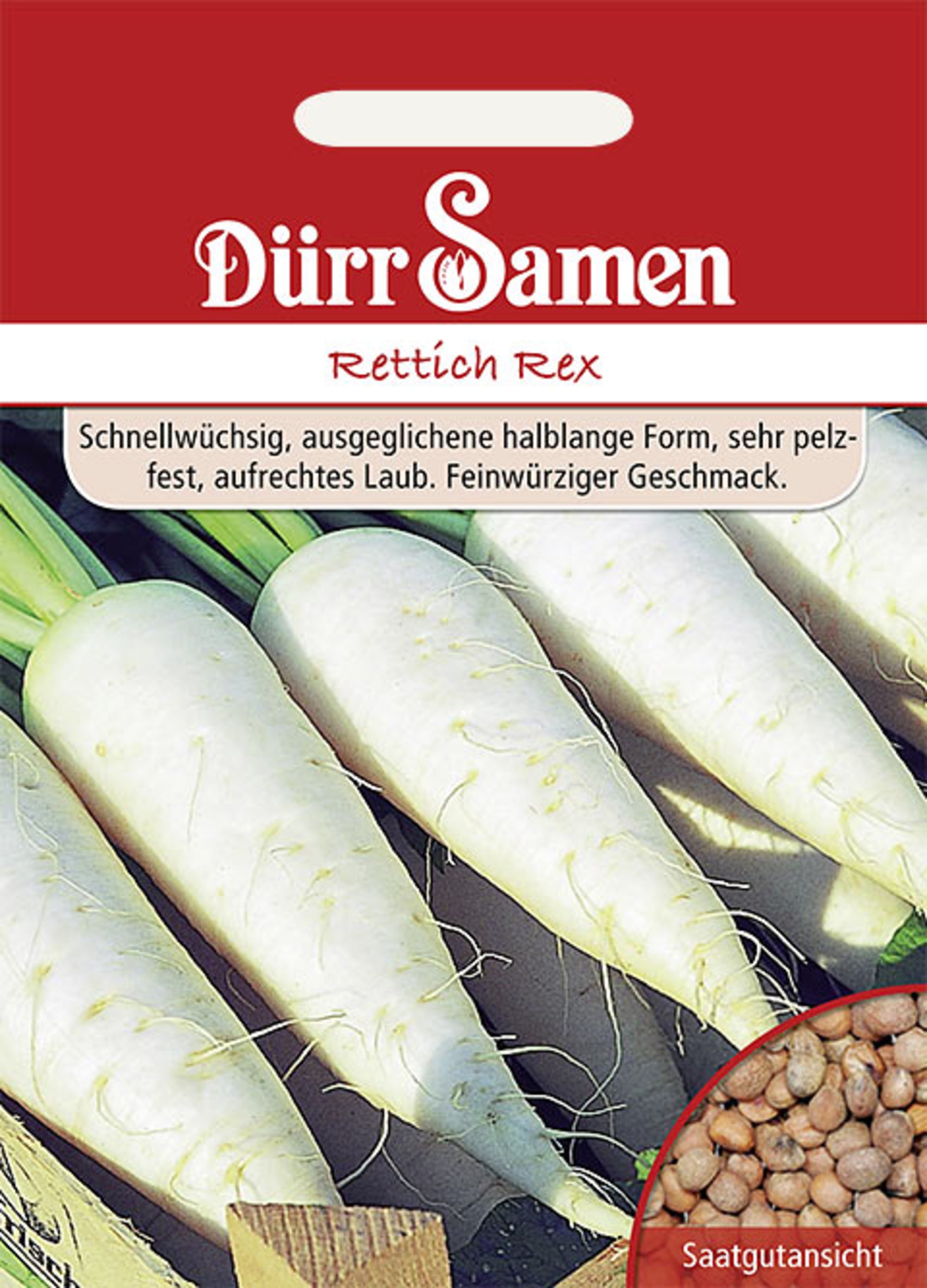 Rettich Rex
