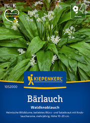 Bärlauch Waldknoblauch