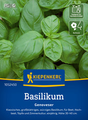 Basilikum Genoveser