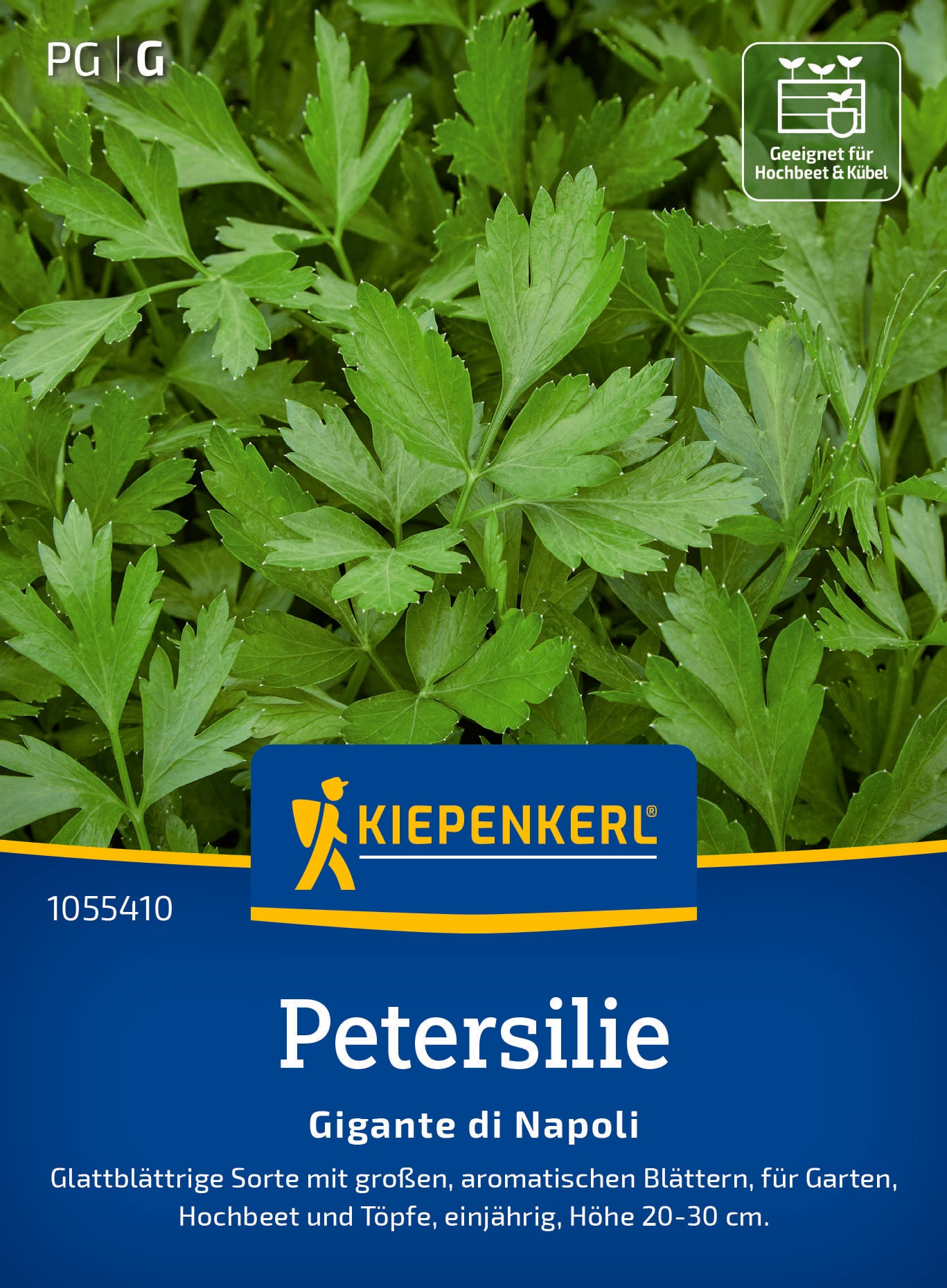 Petersilie Gigante di Napoli
