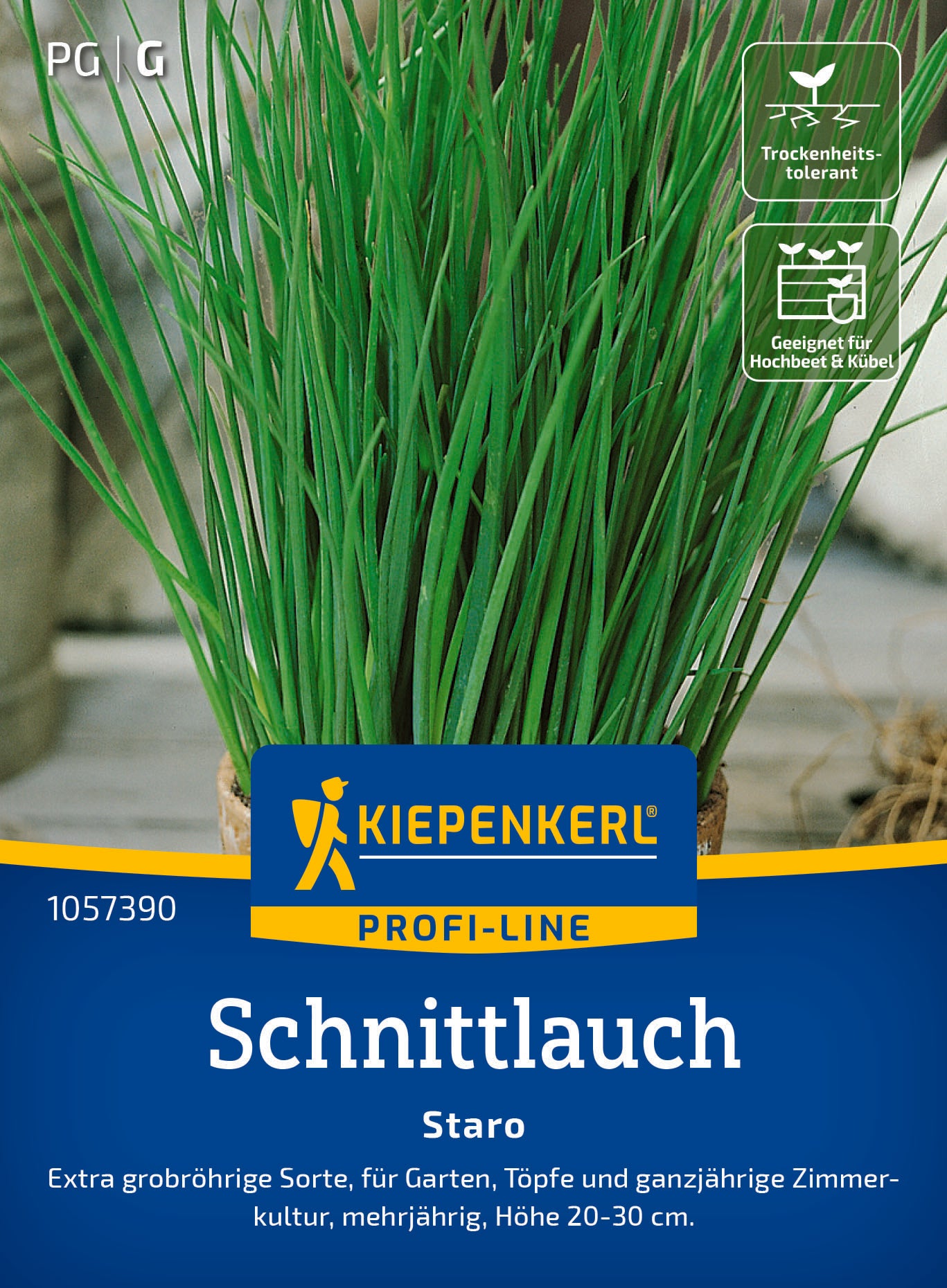 Schnittlauch Staro