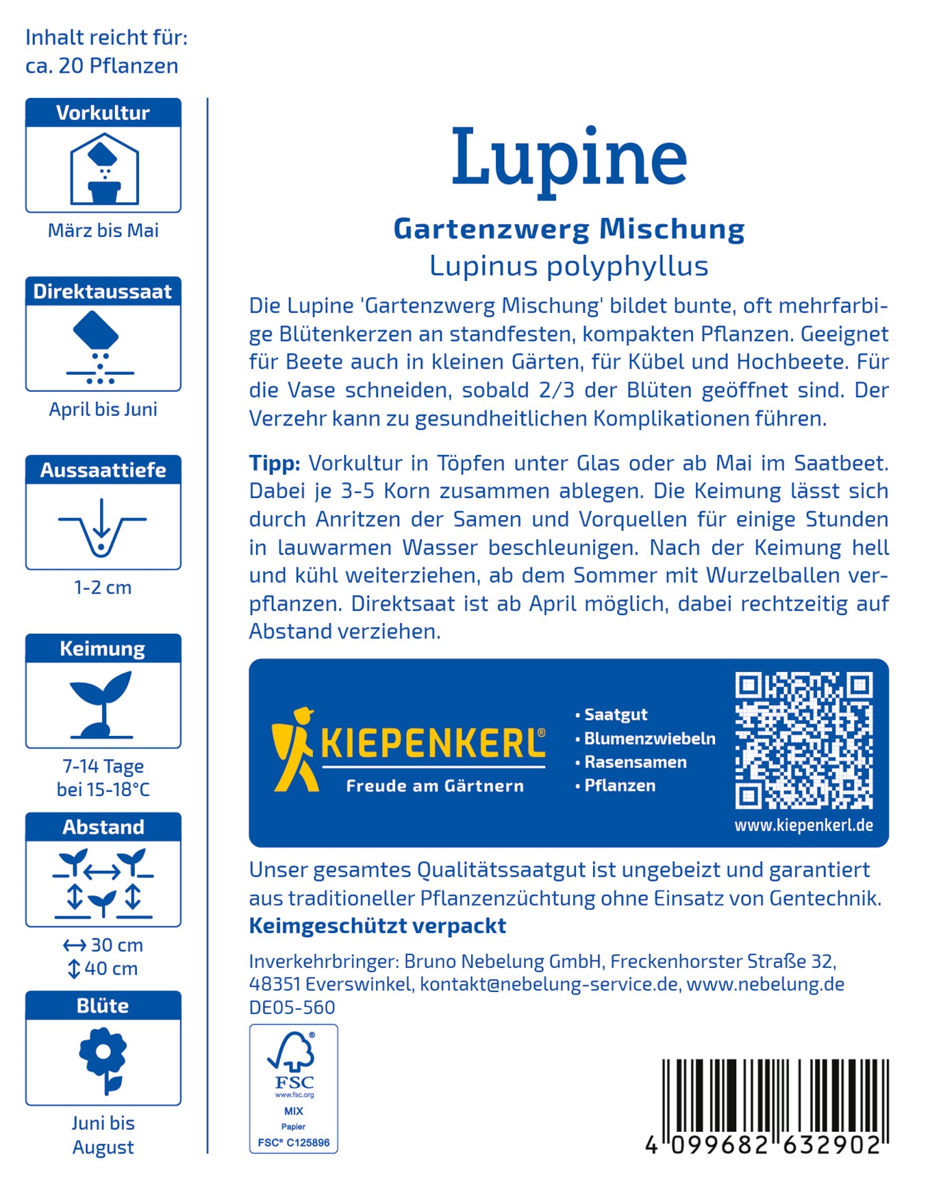 Lupine Gartenzwerg Mischung