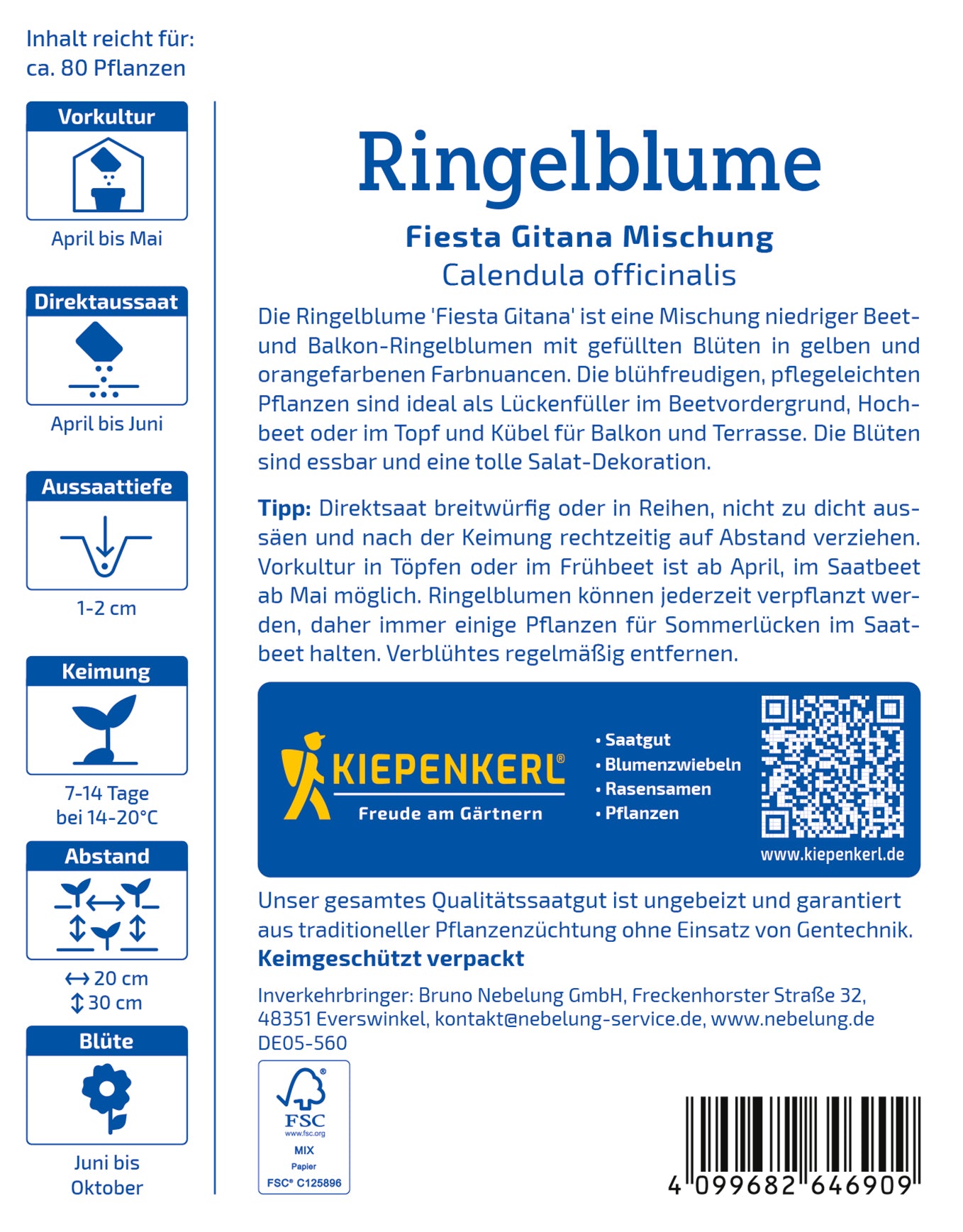 Ringelblume Fiesta Gitana Mischung